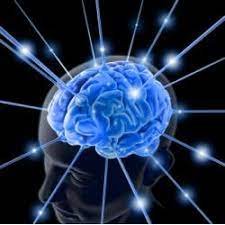 Brain Test