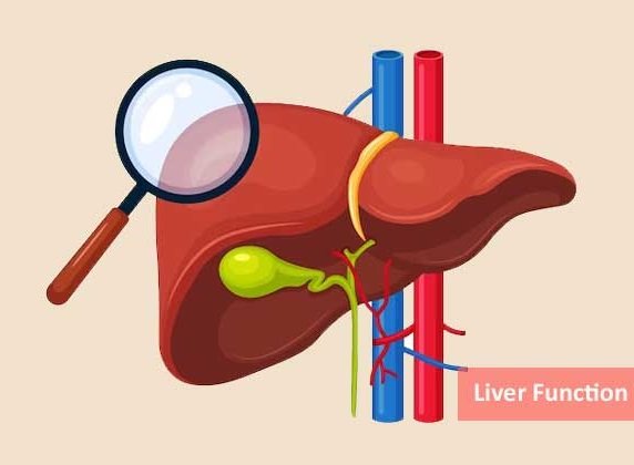 Liver Test